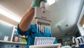 Mexico’s scientists urge rules on gene-edited crops