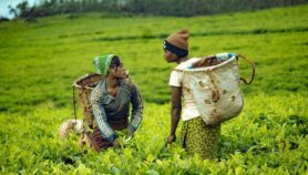How climate change is burning Kenya’s outdoor workers