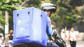 South American cities release mosquitoes to stem disease