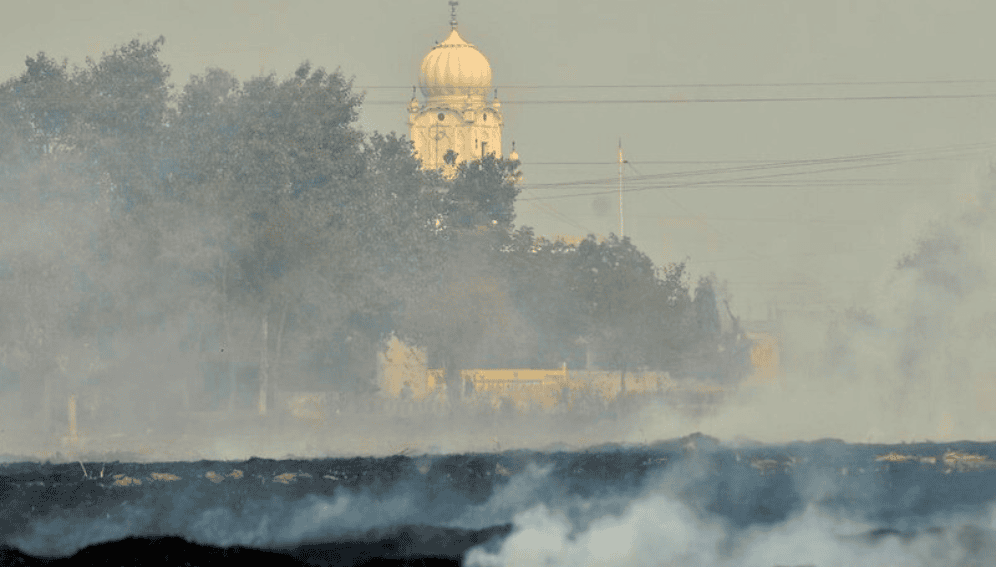 Climate change is raising ozone levels in India, threatening health and food security.
