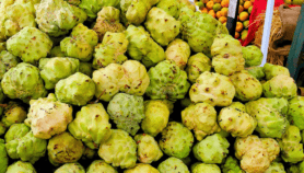 Climate-smart actions to reduce crop loss in Africa