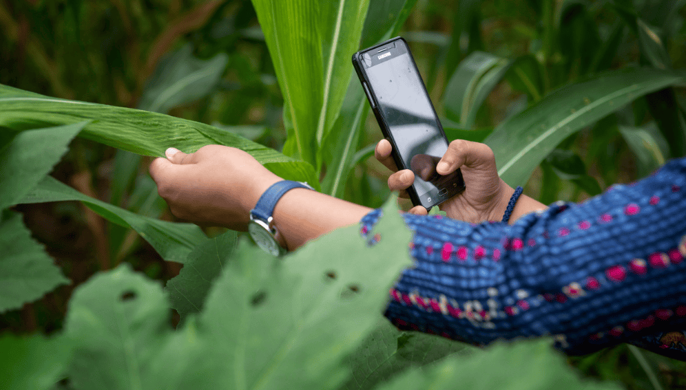 AI innovations driven by major corporations are leaving small-scale farmers behind, report warns.