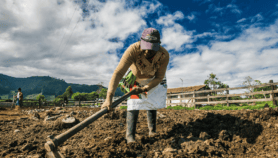 Women farmers need better financing to benefit from AI
