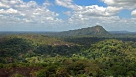 Malaria-free Suriname offers hope for Amazon neighbours