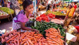 AI model predicts malnutrition six months ahead