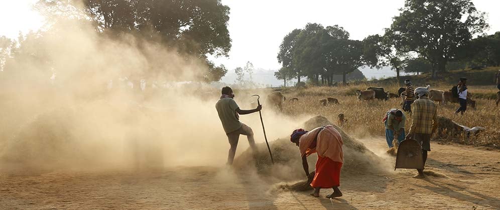 Photo by Ganta Srinivas: https://www.pexels.com/photo/people-working-in-rural-area-4579680/