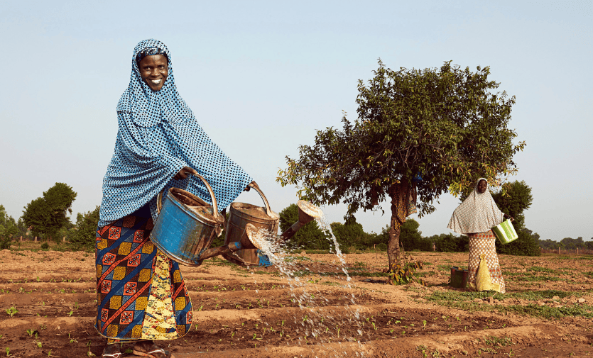 Abandoned women Niger’s Tillaberi arid region watering their plots with watering cans. Photo credit: World Bank Photo Collection