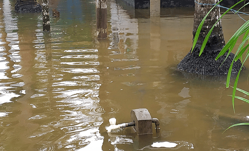 “Ocean swells are not caused by local winds, but by distant weather systems such as storms, hurricanes, or prolonged periods of strong gale-force winds,” explained Sanjay Balachandran, a researcher at Kerala University of Fisheries and Ocean Studies.