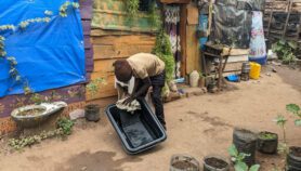 ‘Solar basin’ designed to fight plastic pollution