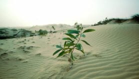 Swap climate short-sightedness for long-term vision at COP27