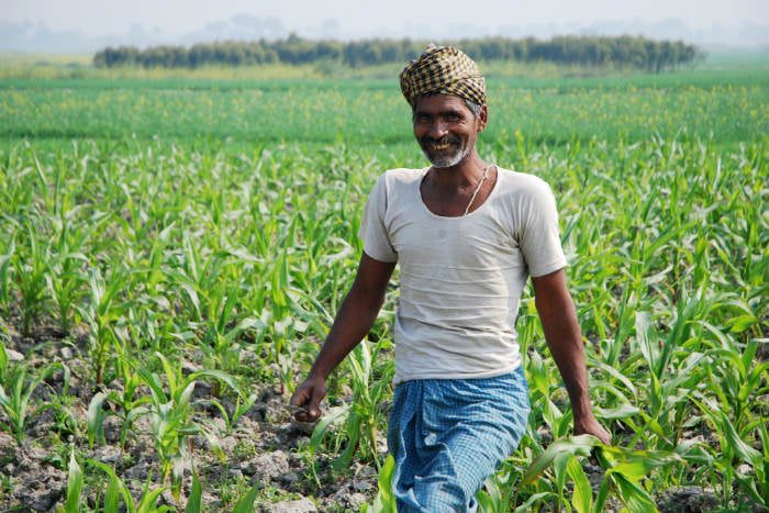 Crops Data Sustainability.jpg