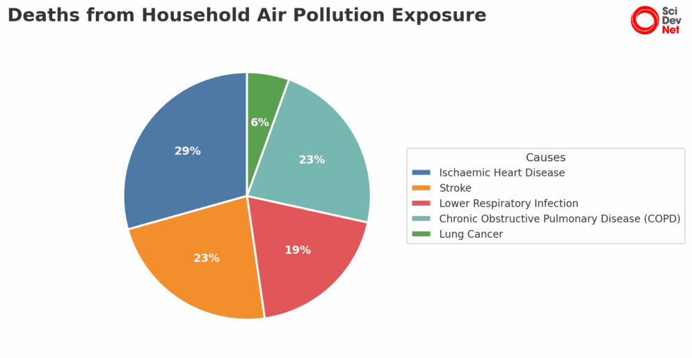 breakdown of deaths from household air pollution around the world. Adapted from: sacaqm.org
