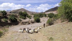 Fresh tack needed to save landscapes hit by climate crisis