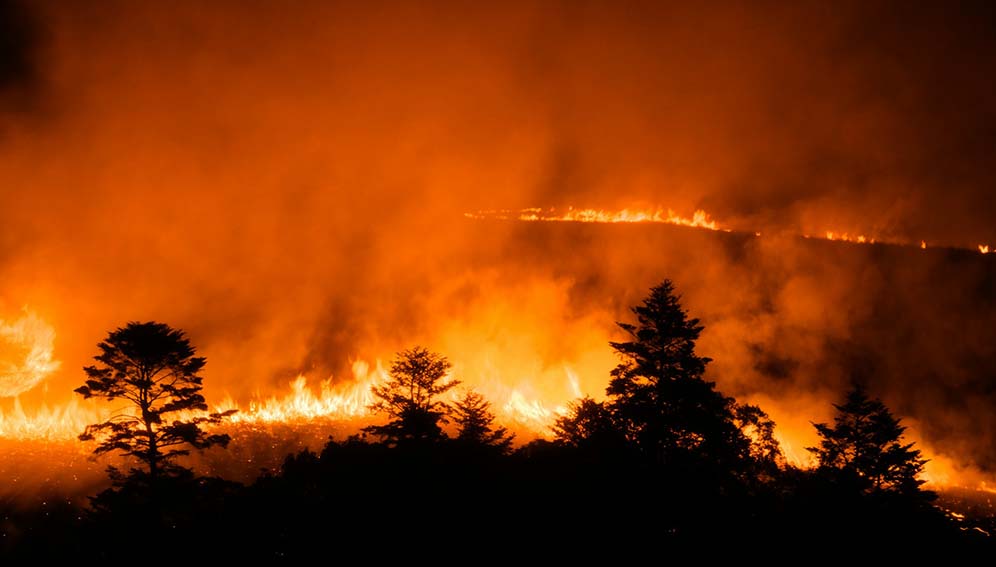 forestfire_MAIN