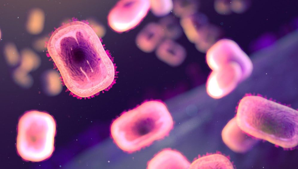 Extracellular, brick-shaped mpox virions (colorized pink). Backlighting shows surface membranes of the virions and the outlines of nucleocapsids. Credit: NIAID.