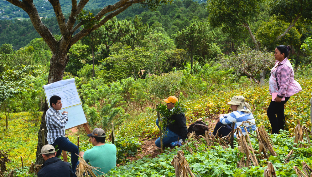 Traditional knowledge meets with science to promote social, economic and productive inclusion of local communities. Credit: CIAT/Daniela Arce