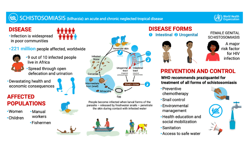 schistosomiasis