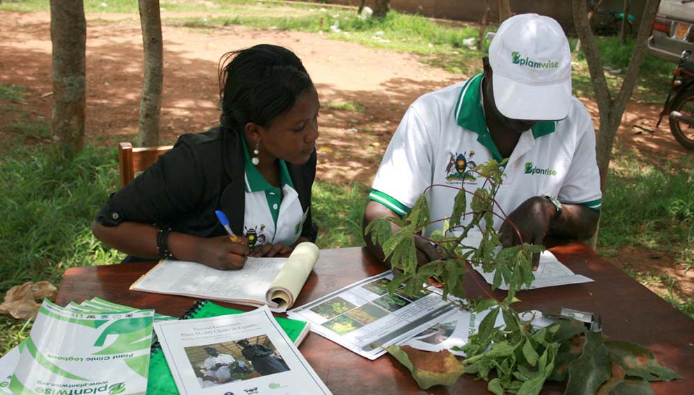 Plantwise Clinics Uganda